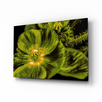 Glowing Chartreuse Poppy Bloom Glass Wall Art