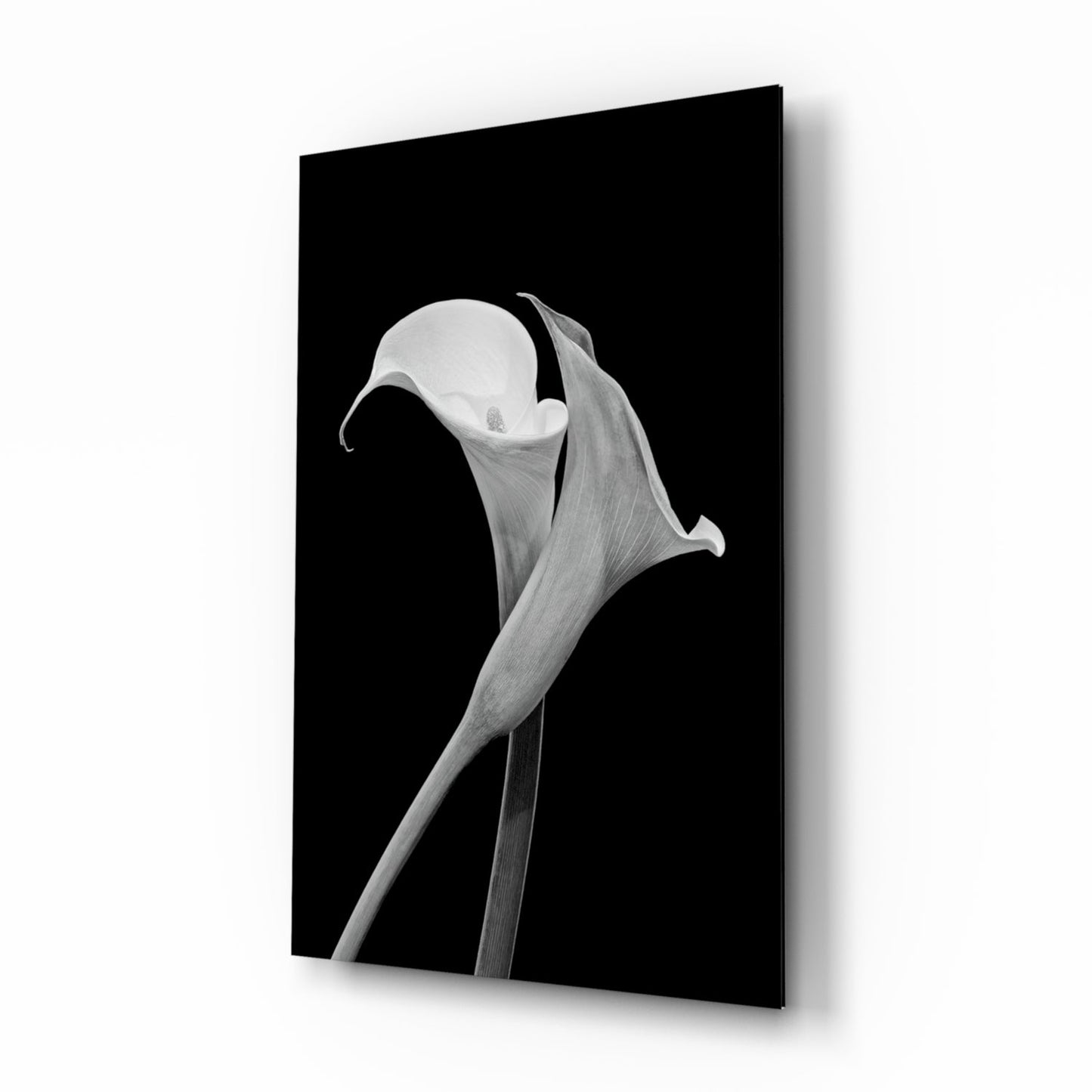Monochrome Calla Lily Glass Wall Art