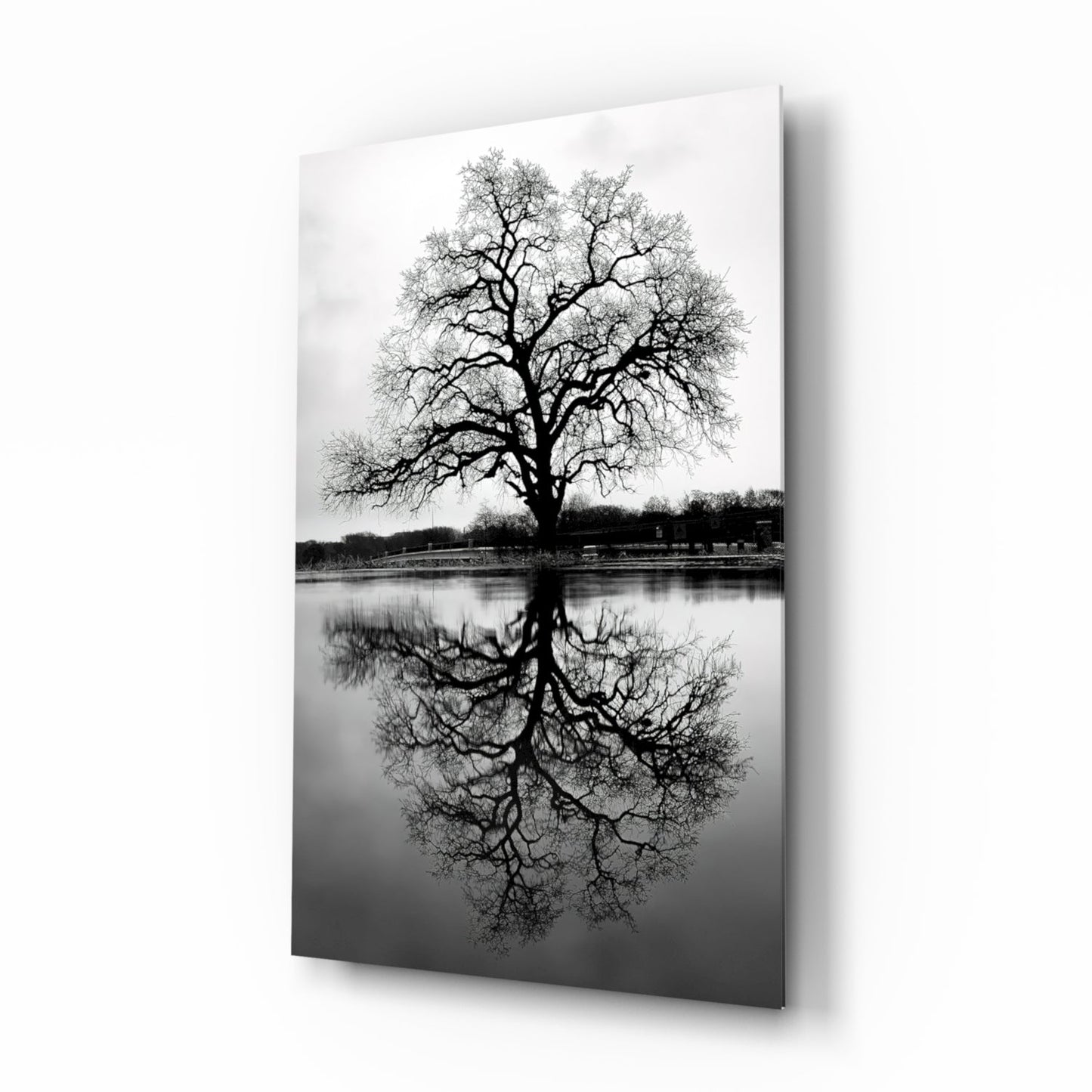 Bare Tree Lake Reflection Black White Glass Wall Art