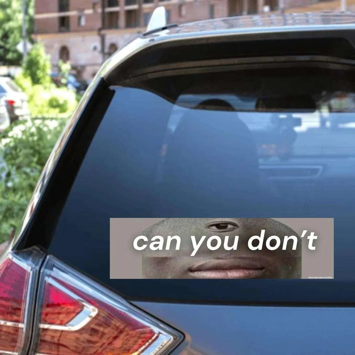 can you don't