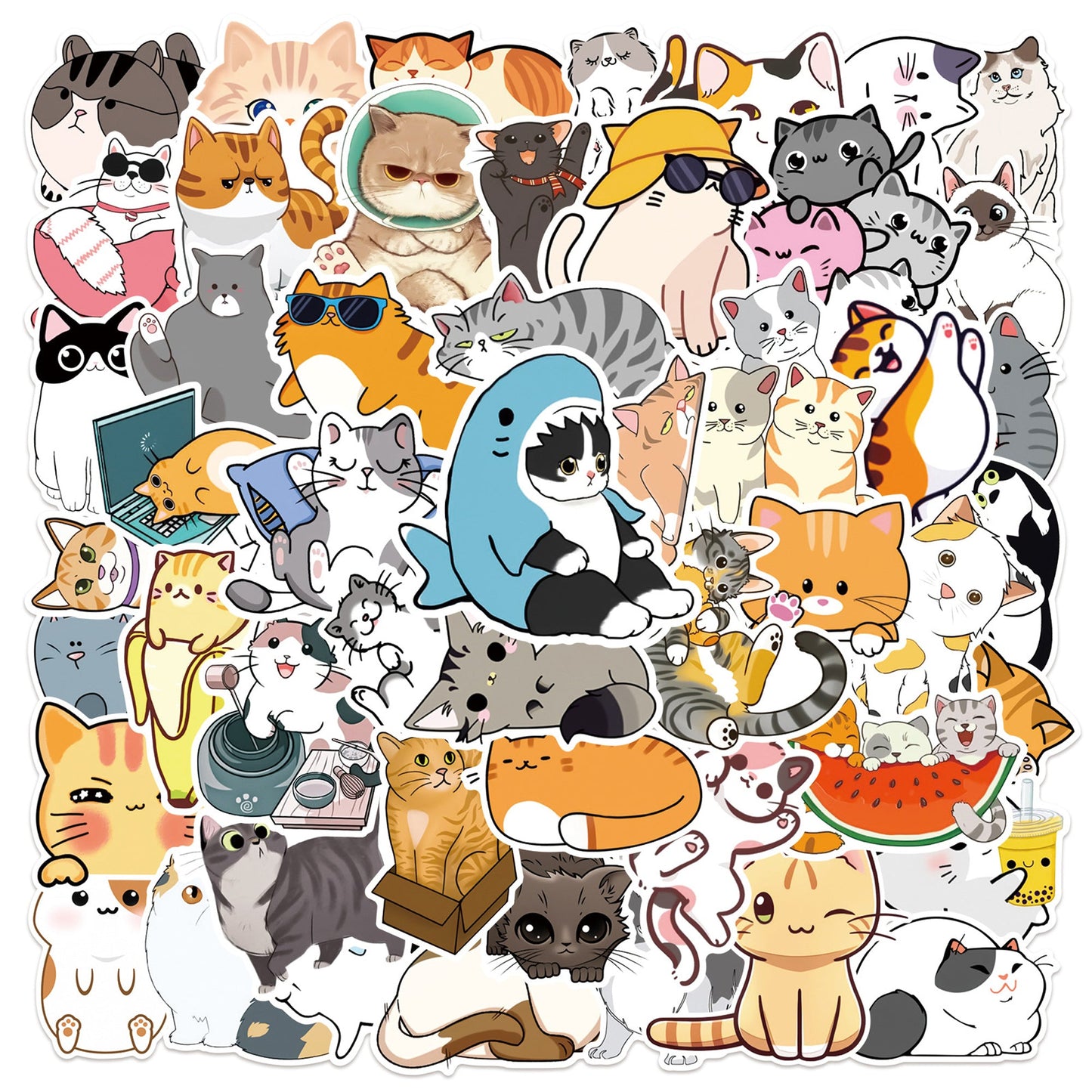 Cat Stickers 50 pcs Non-toxic Vinyl Stickers for Laptops Water Bottles