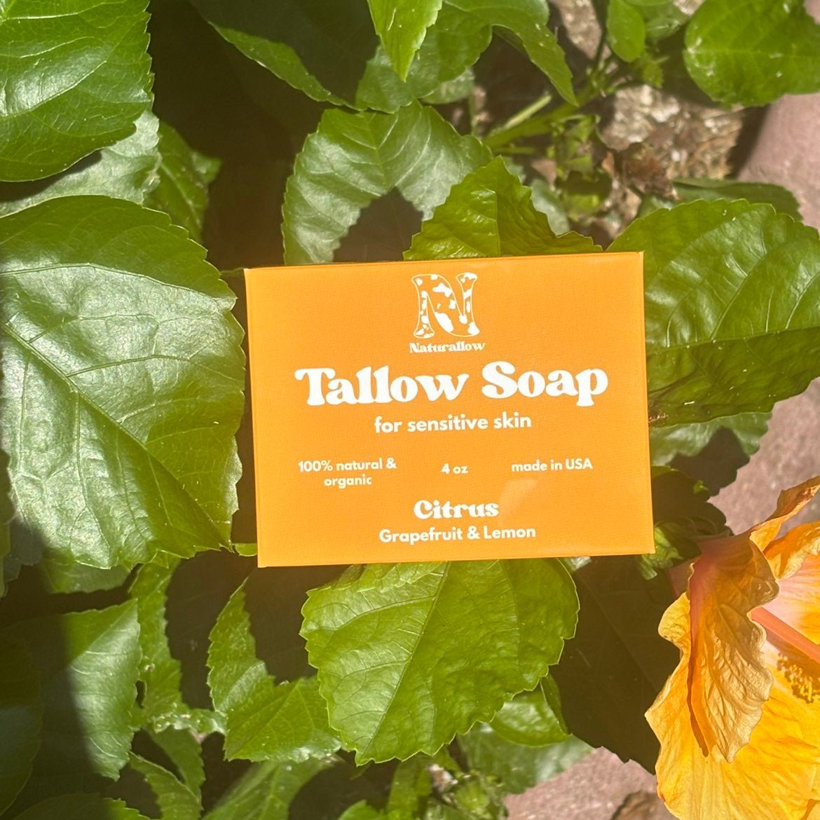 Tallow Soap Bar - Shaketea