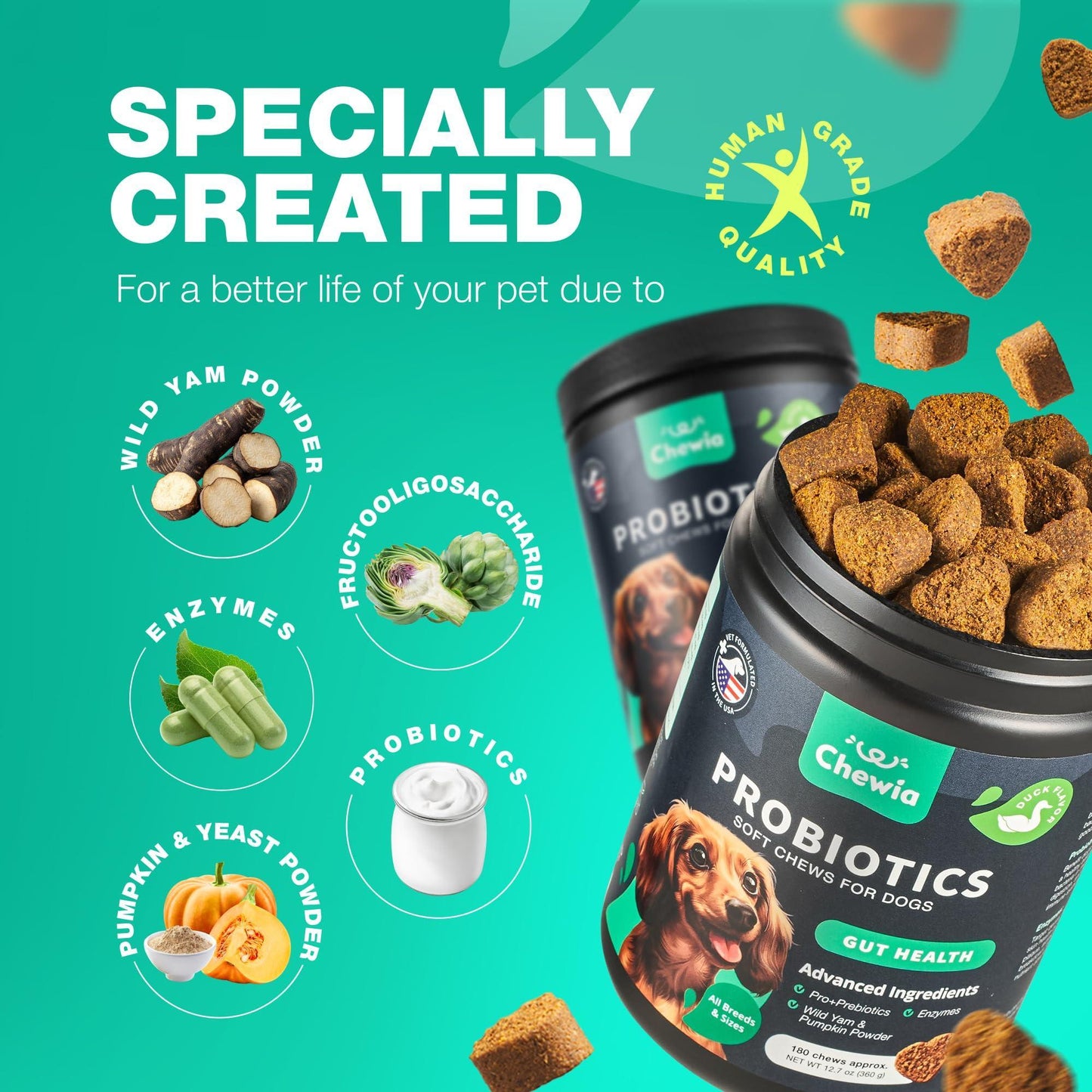 Probiotics for Dogs Digestive Enzymes Gut Health Pumpkin & Yeast Powder