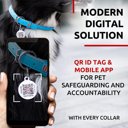 Blue Ultra Soft Rolled Leather Dog Collar 13-16 inch Neck Soft Padded Dog Collars for Medium Dogs Puppy Collar