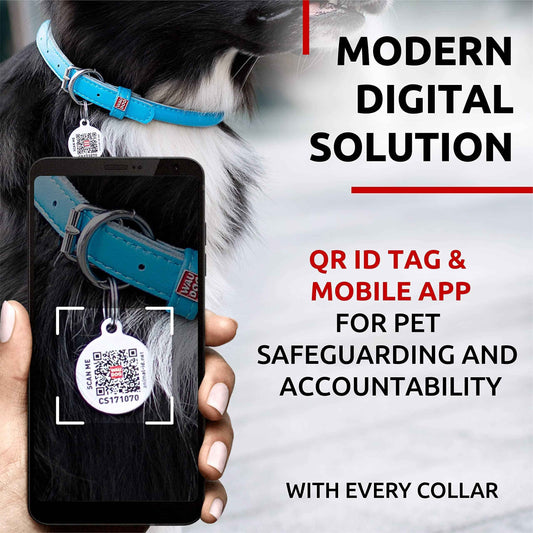Blue Ultra Soft Rolled Leather Dog Collar 13-16 inch Neck Soft Padded Dog Collars for Medium Dogs Puppy Collar