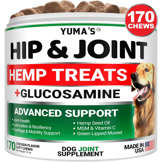 Hemp Hip & Joint Supplement for Dogs Glucosamine & MSM Joint Pain Relief