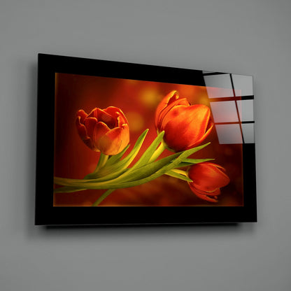 Three Red Tulips on Dark Amber Glass Wall Art