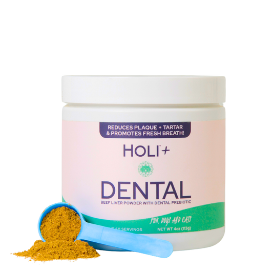 Complete Dental Health Bundle – Dental Topper + Salmon Skin Chews - Shaketea