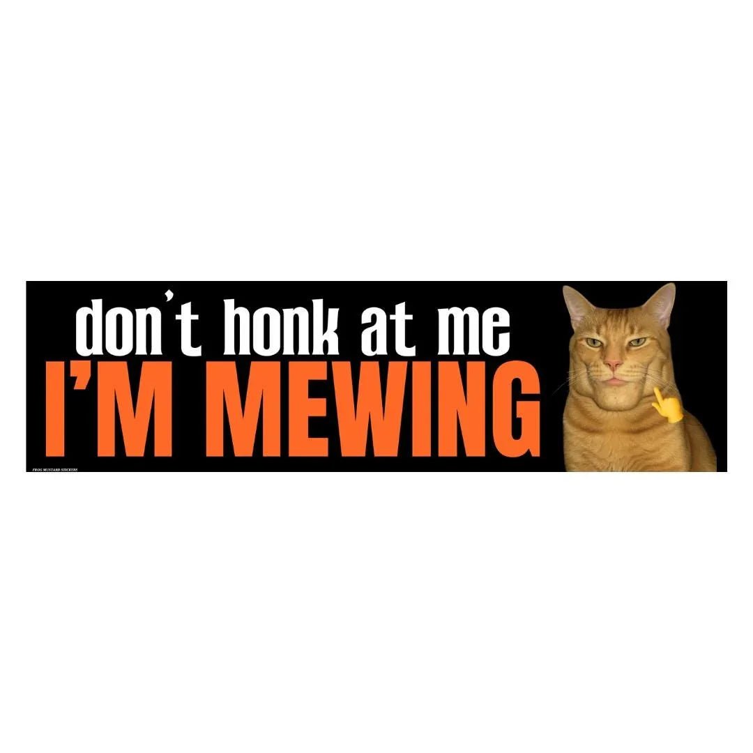 Don't Honk at Me, I'm Mewing (Chad Cat)