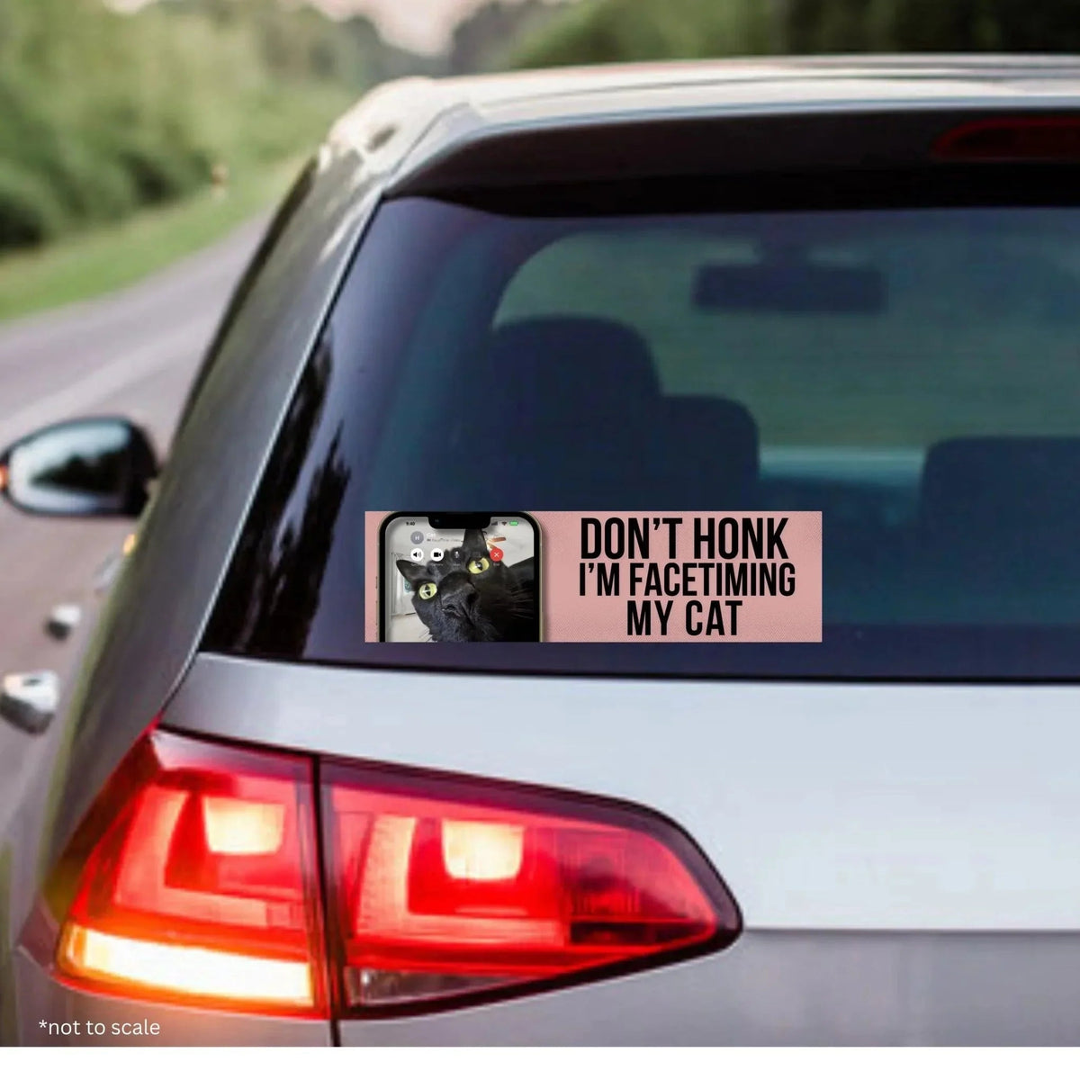 Don't Honk! I'm Facetiming My Cat