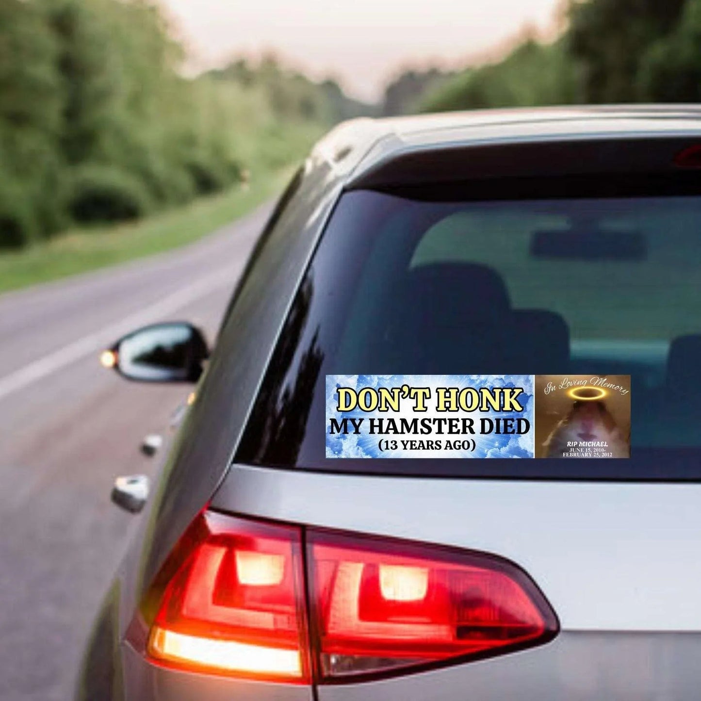 Don't Honk! My Hamster Died (13 years ago)