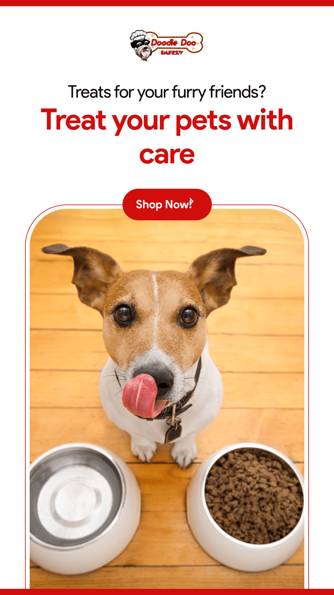 Homemade Dog Treat Party Bag – 1 lb Variety Mix