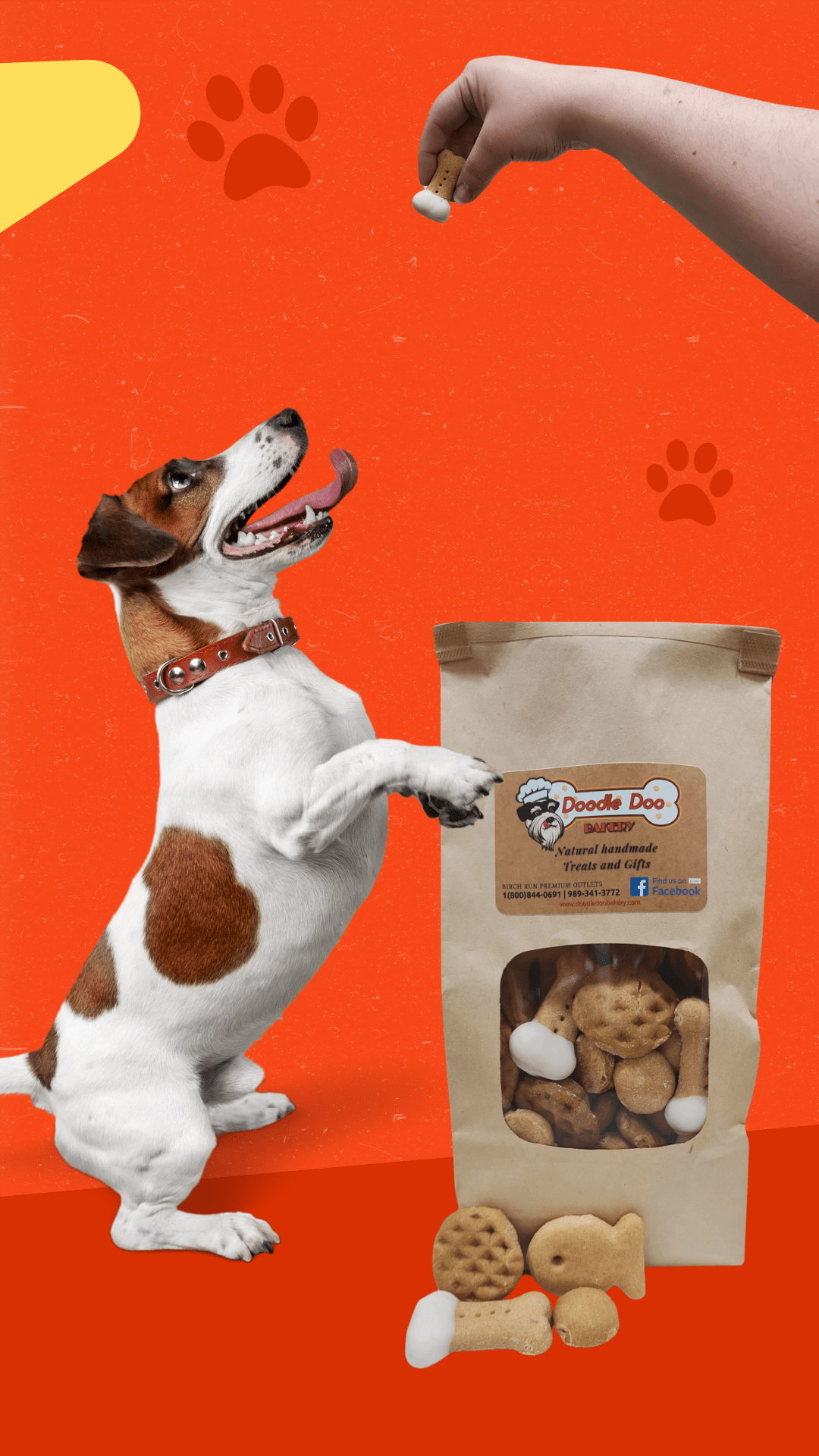 Homemade Dog Treat Party Bag – 1 lb Variety Mix