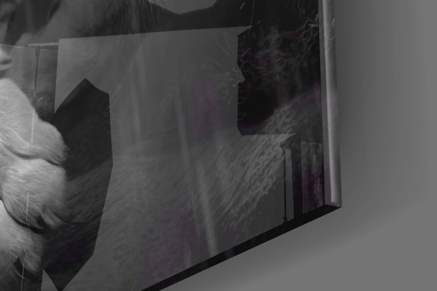Tiger's Wrath Glass Wall Art || Designer Collection
