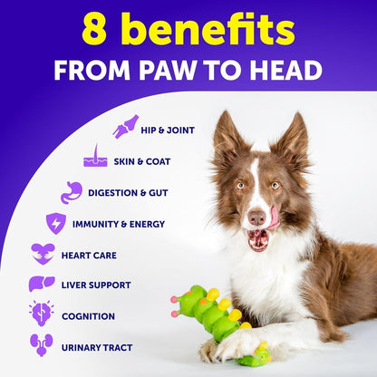 Dog Multivitamin Chews with Glucosamine 20-in-1
