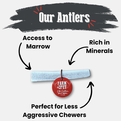 Elk Antler Dog Chews | All-Natural Whole and Split Elk Antler Chews for Dogs