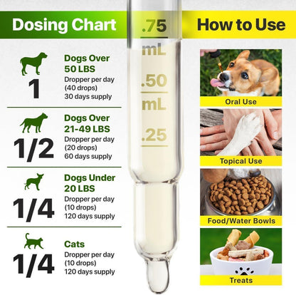 Hemp & Salmon Oil for Dogs Omega 3-6-9 Skin & Coat 1 fl oz