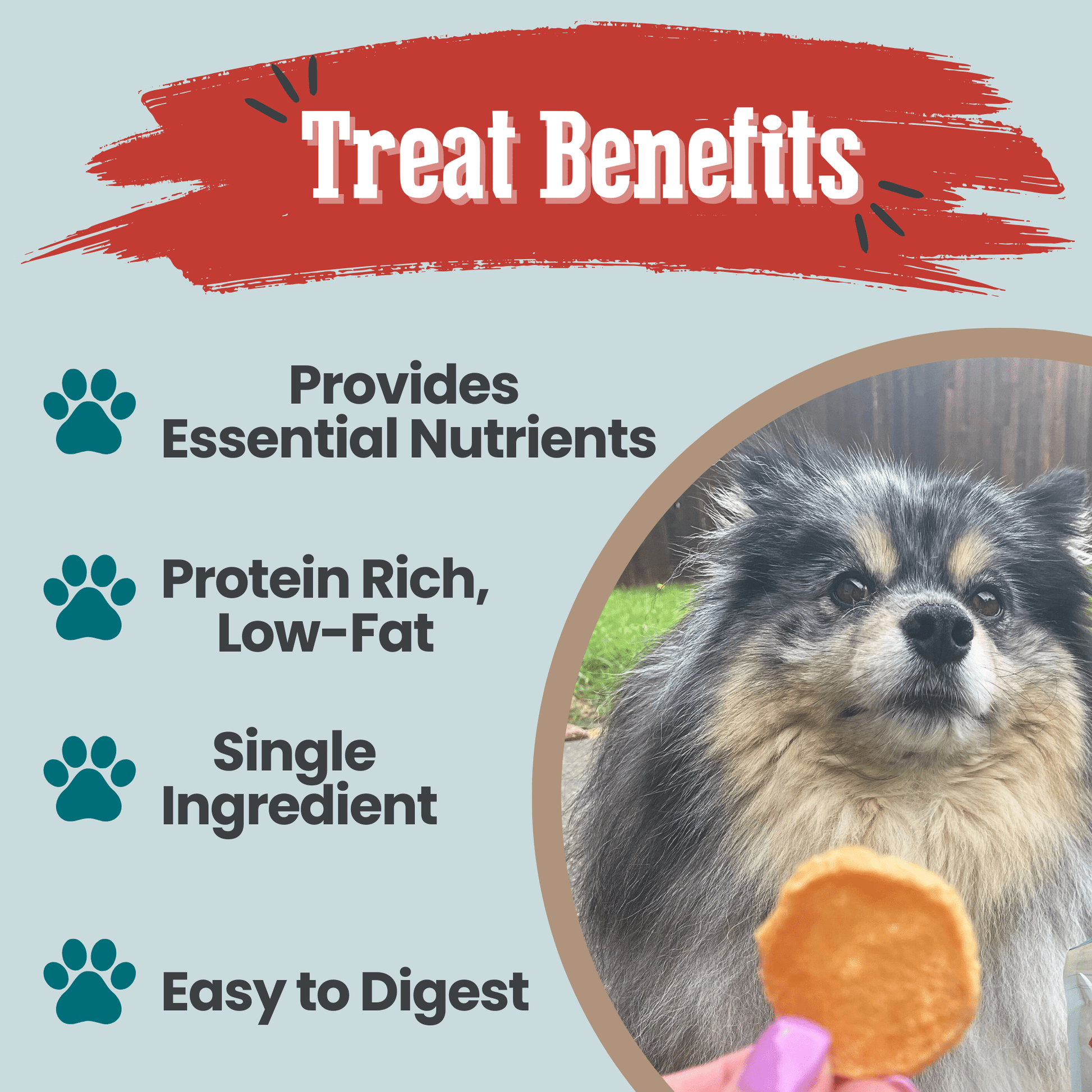 Fish Chips Snack Pack Bundles | Dog Treats for Training & Travel