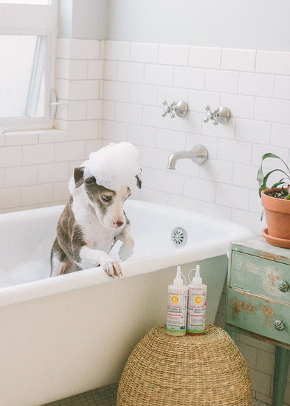 (No Fragrance) Super Sensitive™ Puppy + Dog + Kitty Wash & Conditioner Set