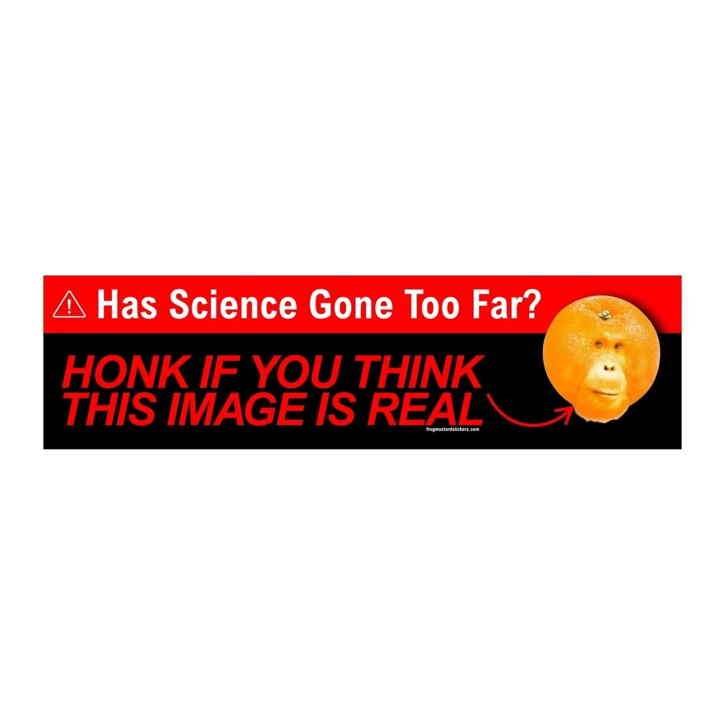 Has Science Gone Too Far?