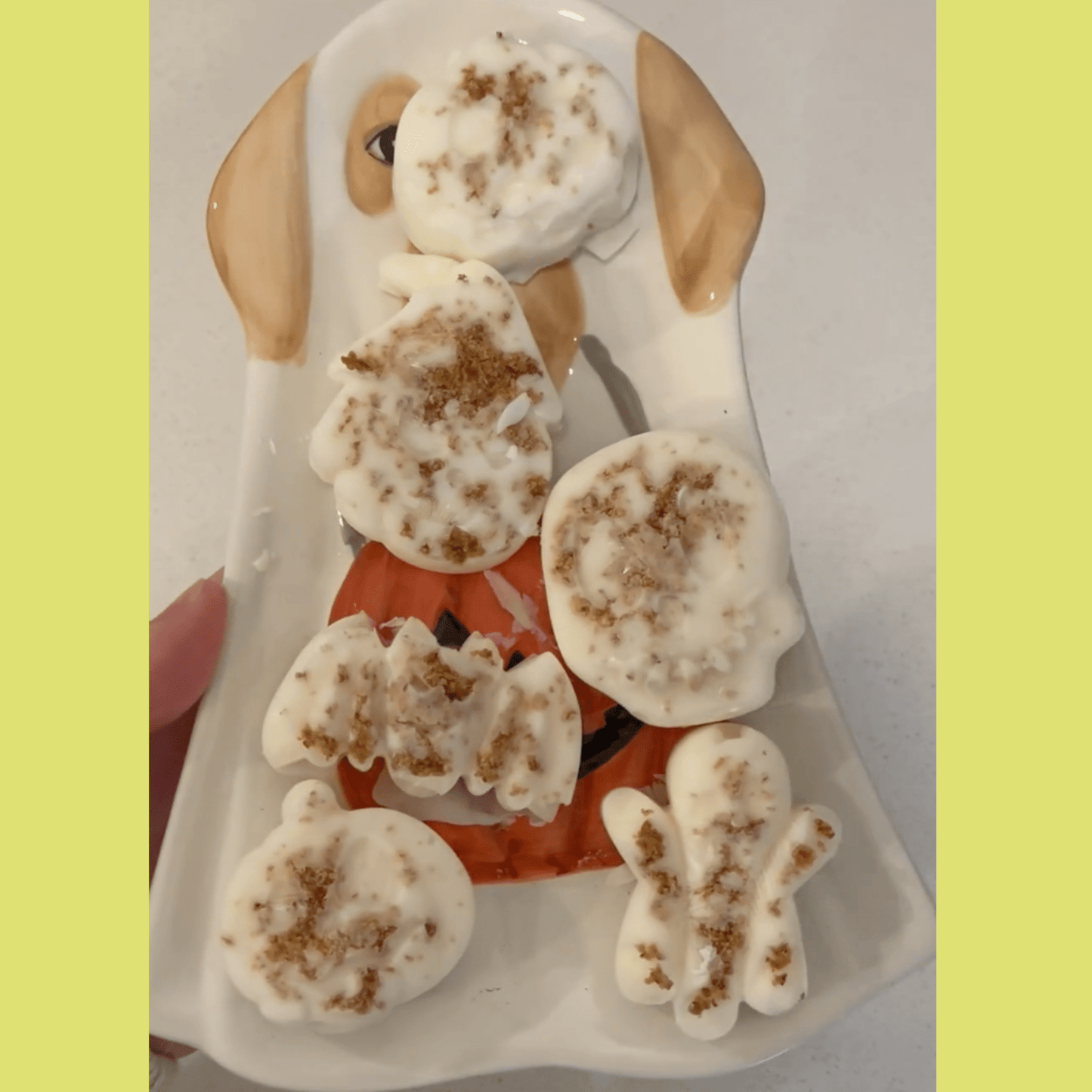 Pet Treat Molds - Shaketea