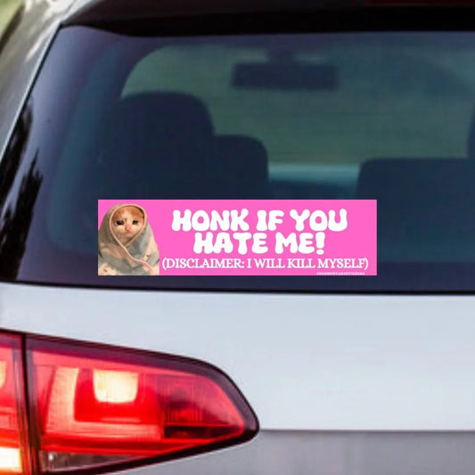 Honk if You Hate Me (Cat)