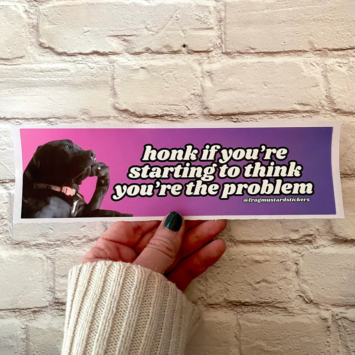 Honk if You're Starting to Think You are the Problem (Dog)