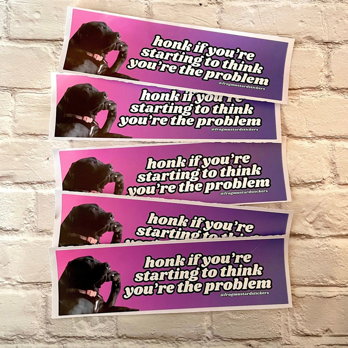 Honk if You're Starting to Think You are the Problem (Dog)