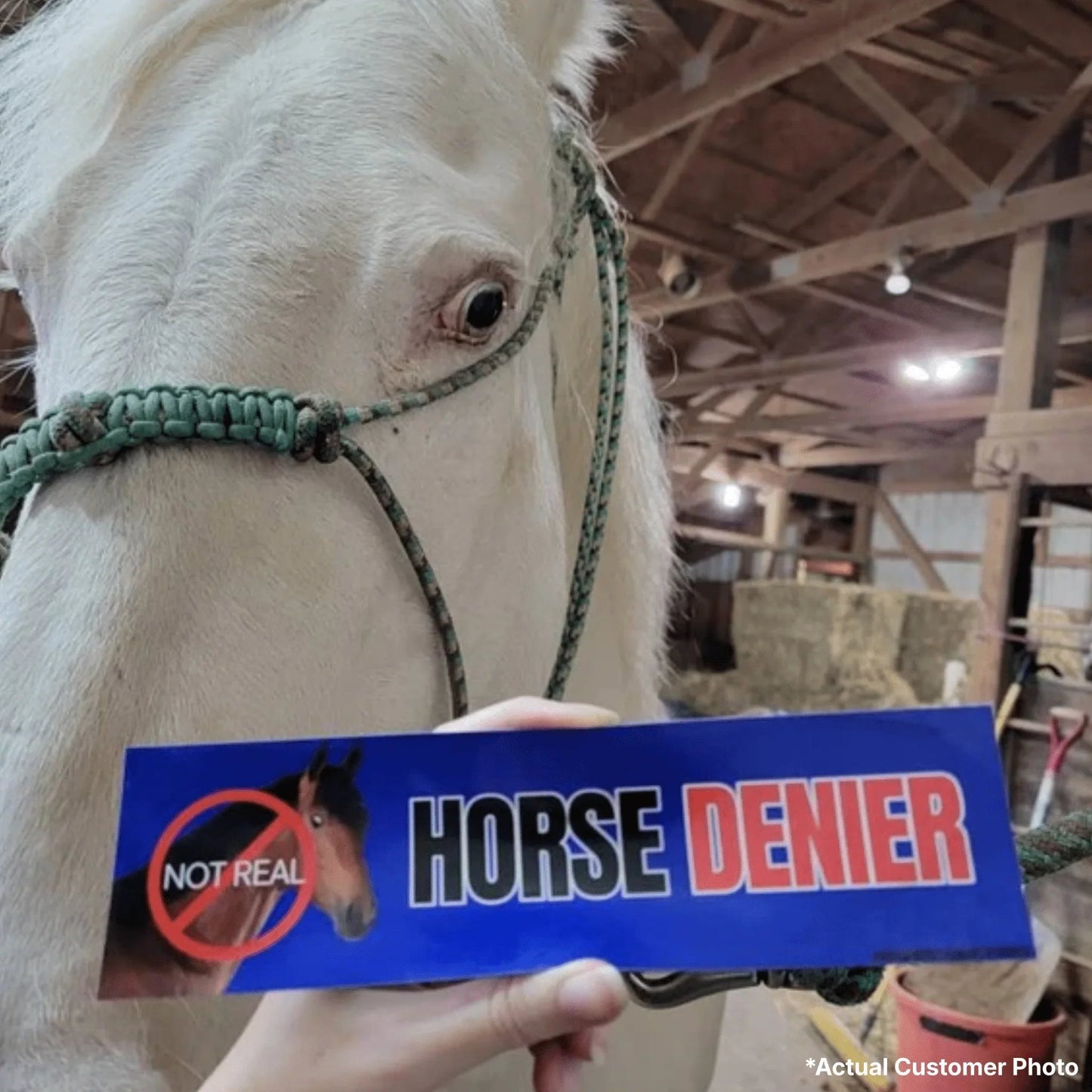 Horse DENIER
