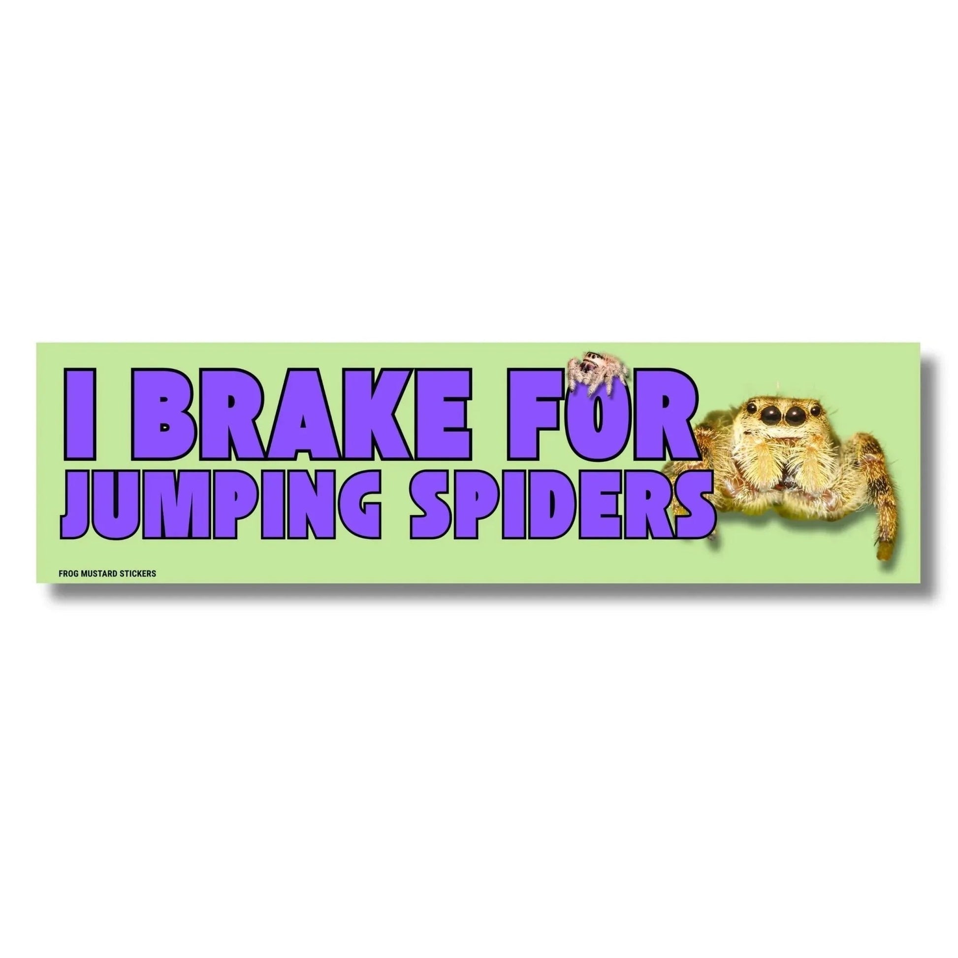 I Brake for Jumping Spiders