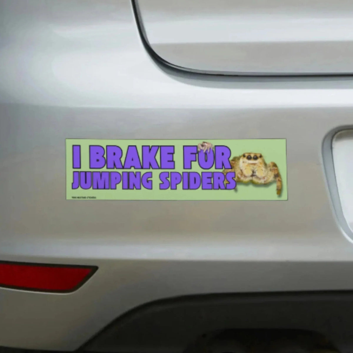 I Brake for Jumping Spiders