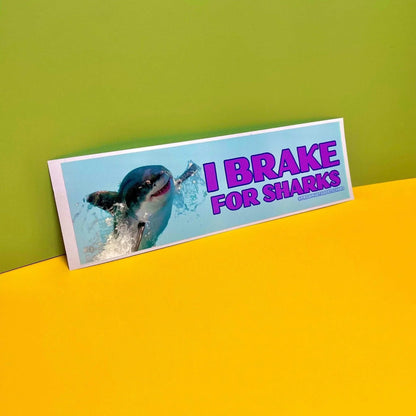I Brake for Sharks
