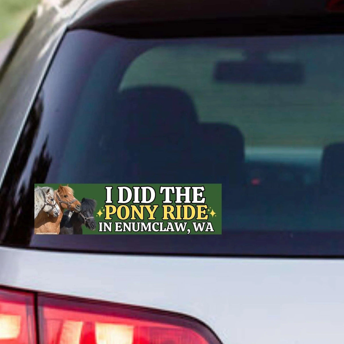 I Did the Pony Ride in Enumclaw, WA