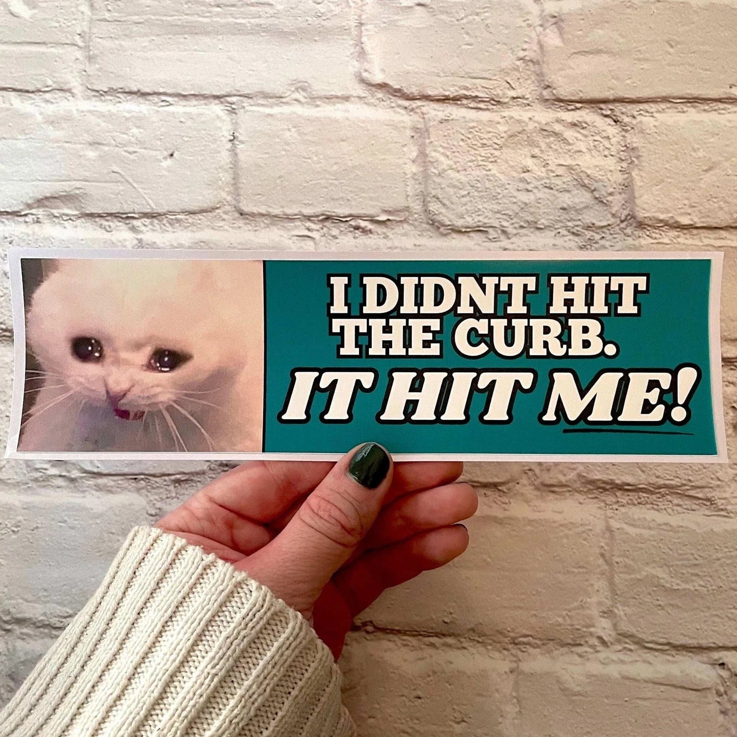 I Didn't Hit the Curb - it hit ME! (Cat)
