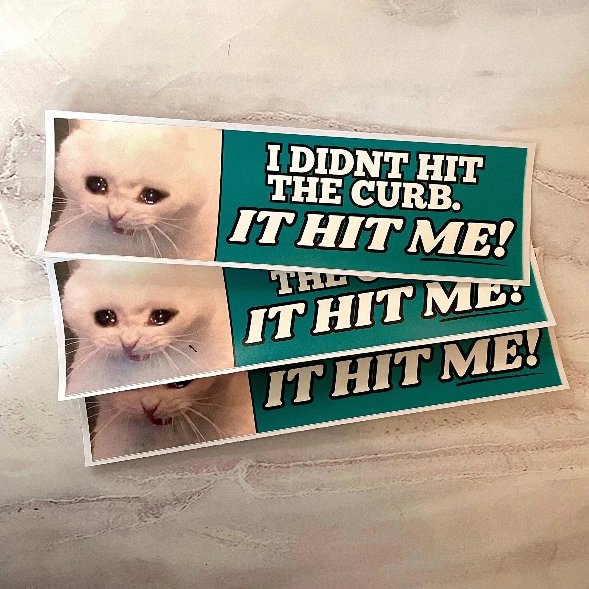 I Didn't Hit the Curb - it hit ME! (Cat)