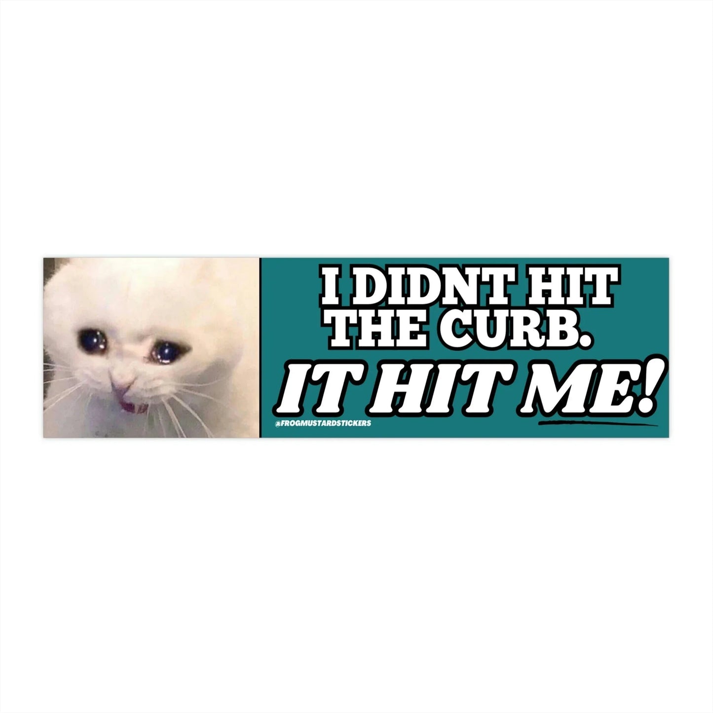 I Didn't Hit the Curb - it hit ME! (Cat)