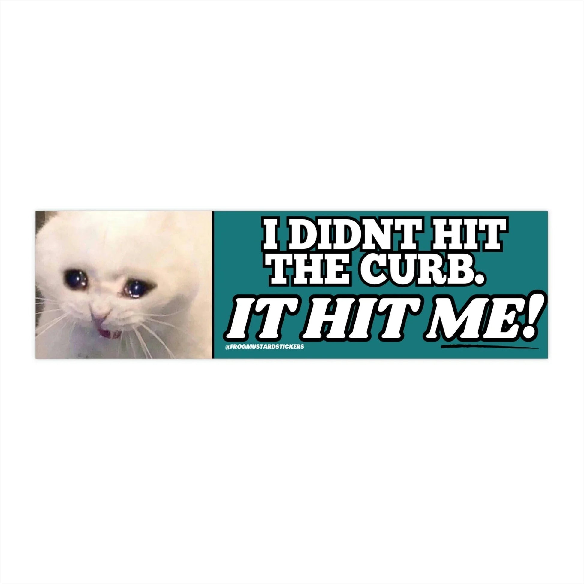 I Didn't Hit the Curb - it hit ME! (Cat)