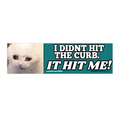 I Didn't Hit the Curb - it hit ME! (Cat)