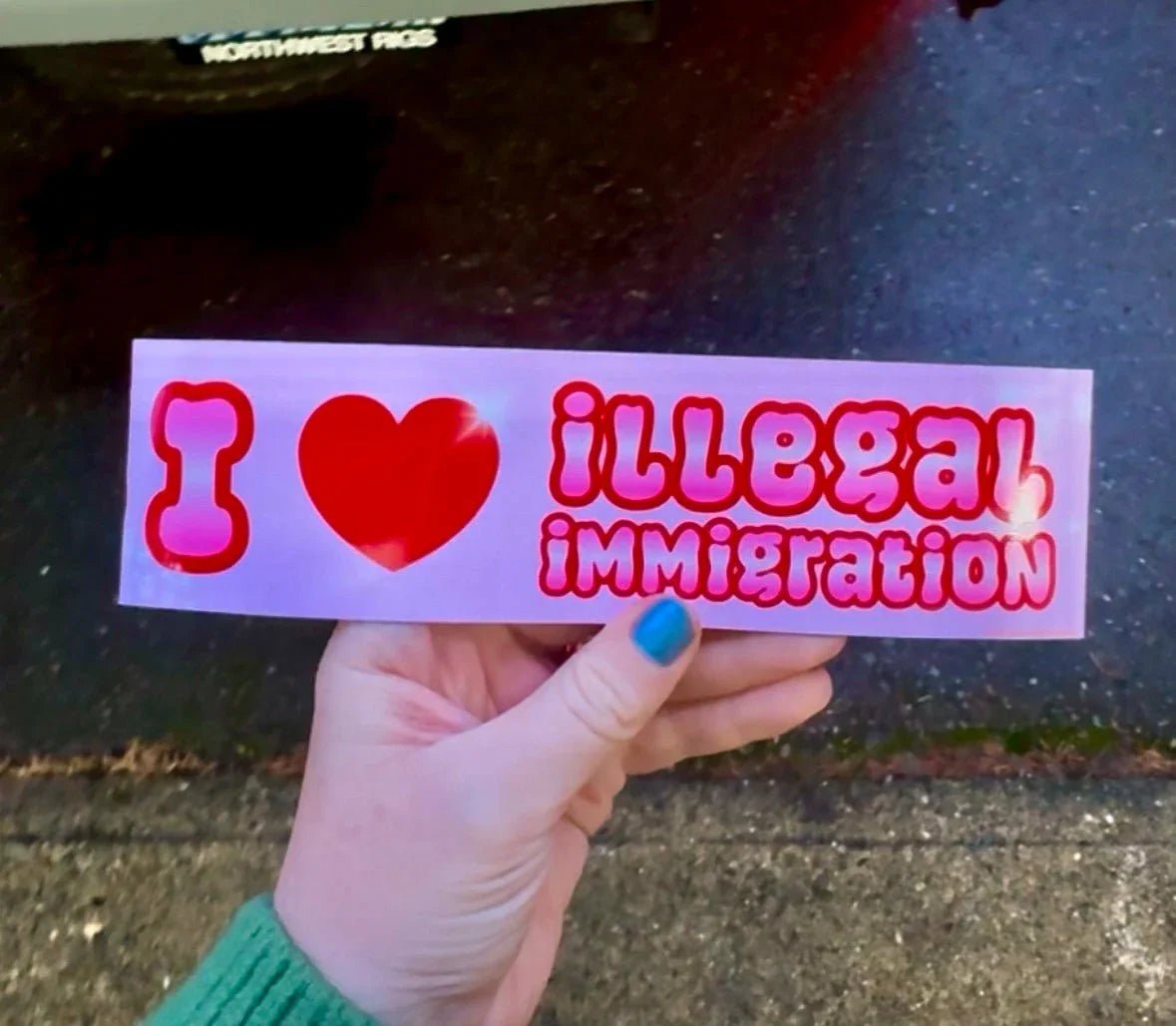 I Love Illegal Immigration