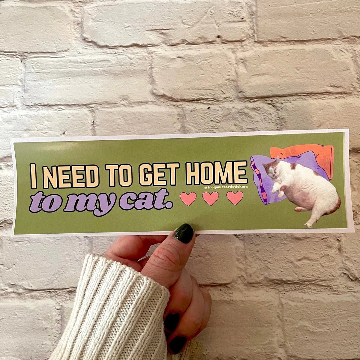 I Need to Get Home to My Cat