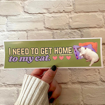 I Need to Get Home to My Cat