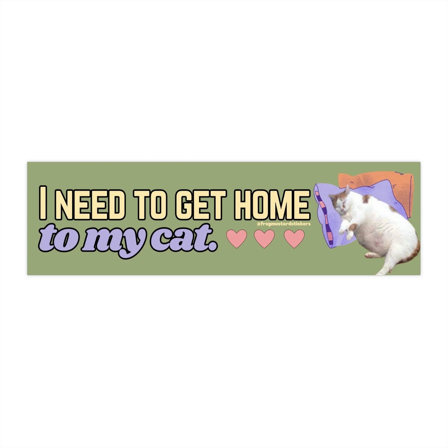 I Need to Get Home to My Cat
