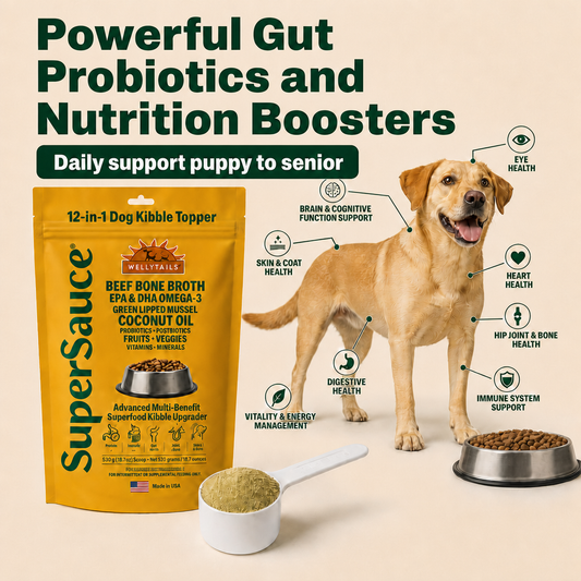 SuperSauce 12-In-1 Multifunctional Probiotic Kibble Topper Powder for Dogs — 60 Scoops, 12.7 oz. (360g) - Shaketea