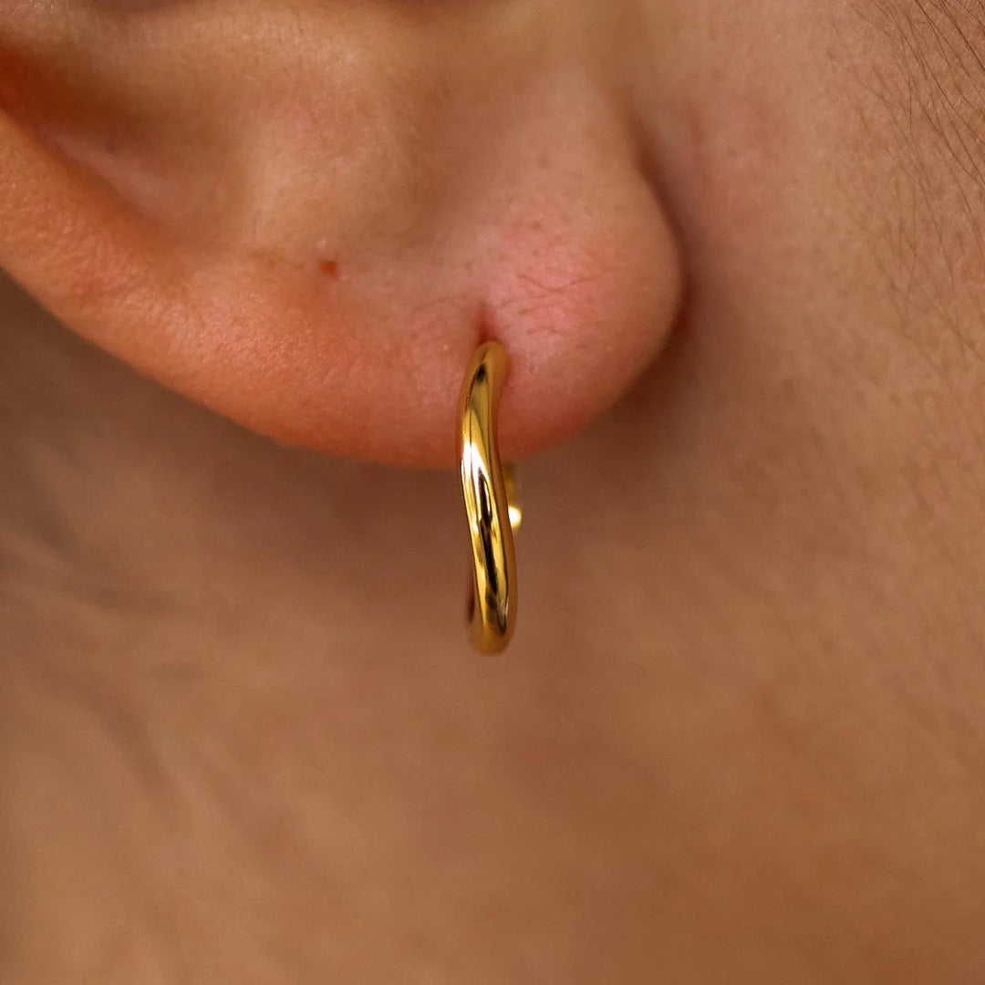 Melanie Vermeil Earrings