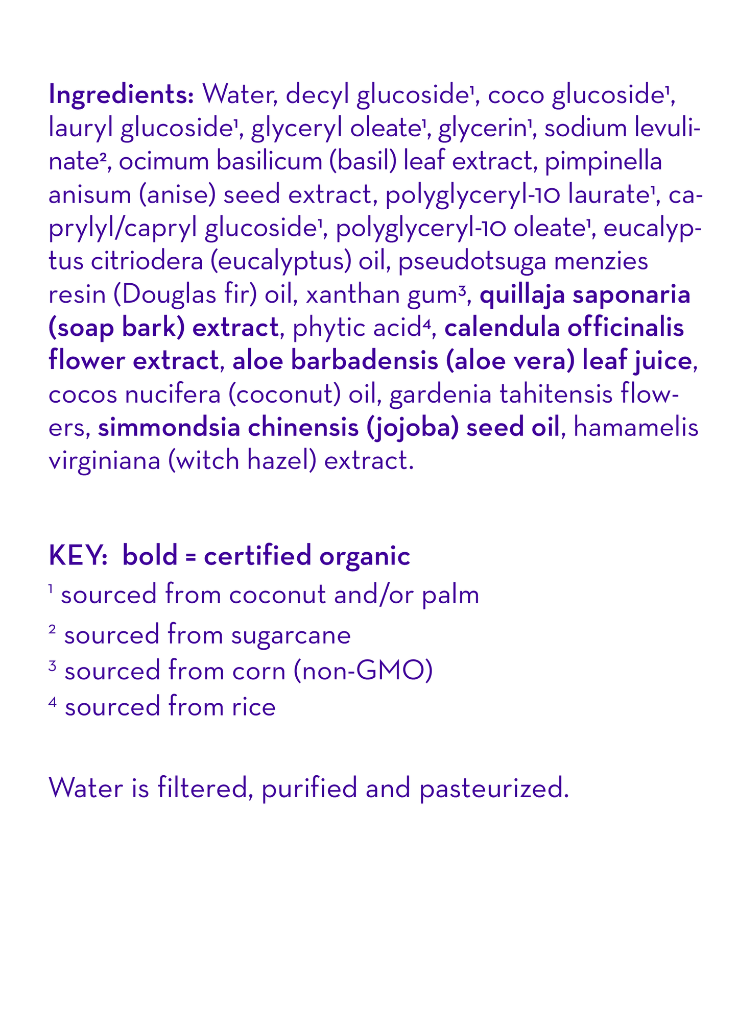Eucalyptus Ease™ Moisturizing Handwash