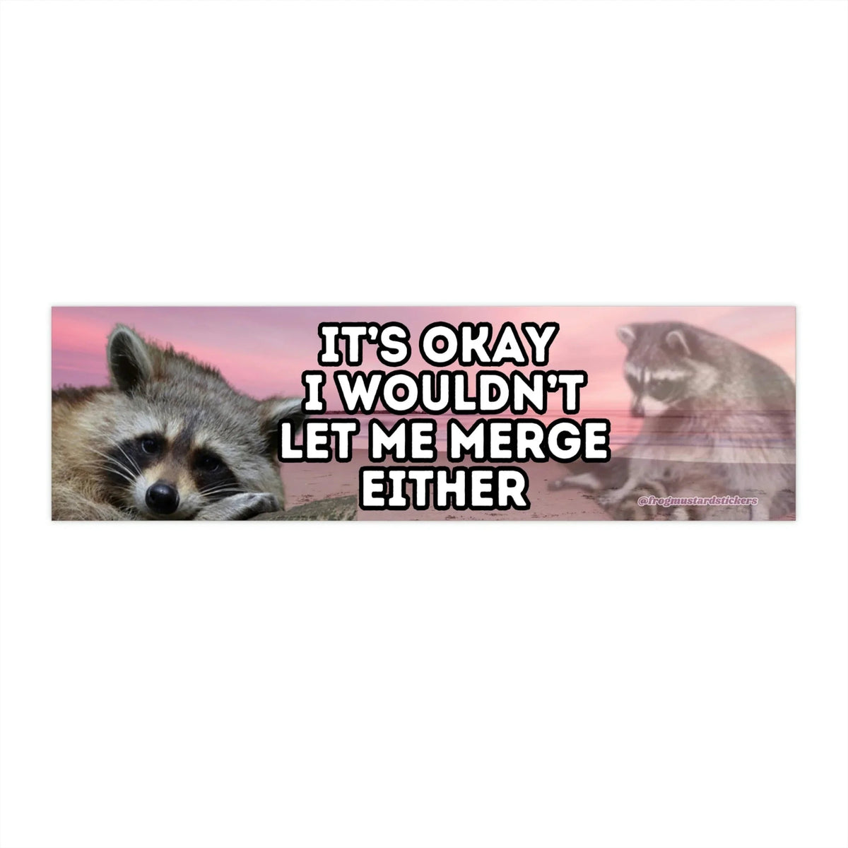 It's Okay, I Wouldn't Let Me Merge Either (Raccoon)