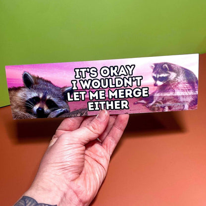 It's Okay, I Wouldn't Let Me Merge Either (Raccoon)