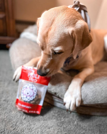 Beef Liver Dog Treats - Freeze-Dried - Single Ingredient