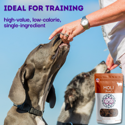 Lamb Liver Dog Treats - Freeze Dried - Single Ingredient