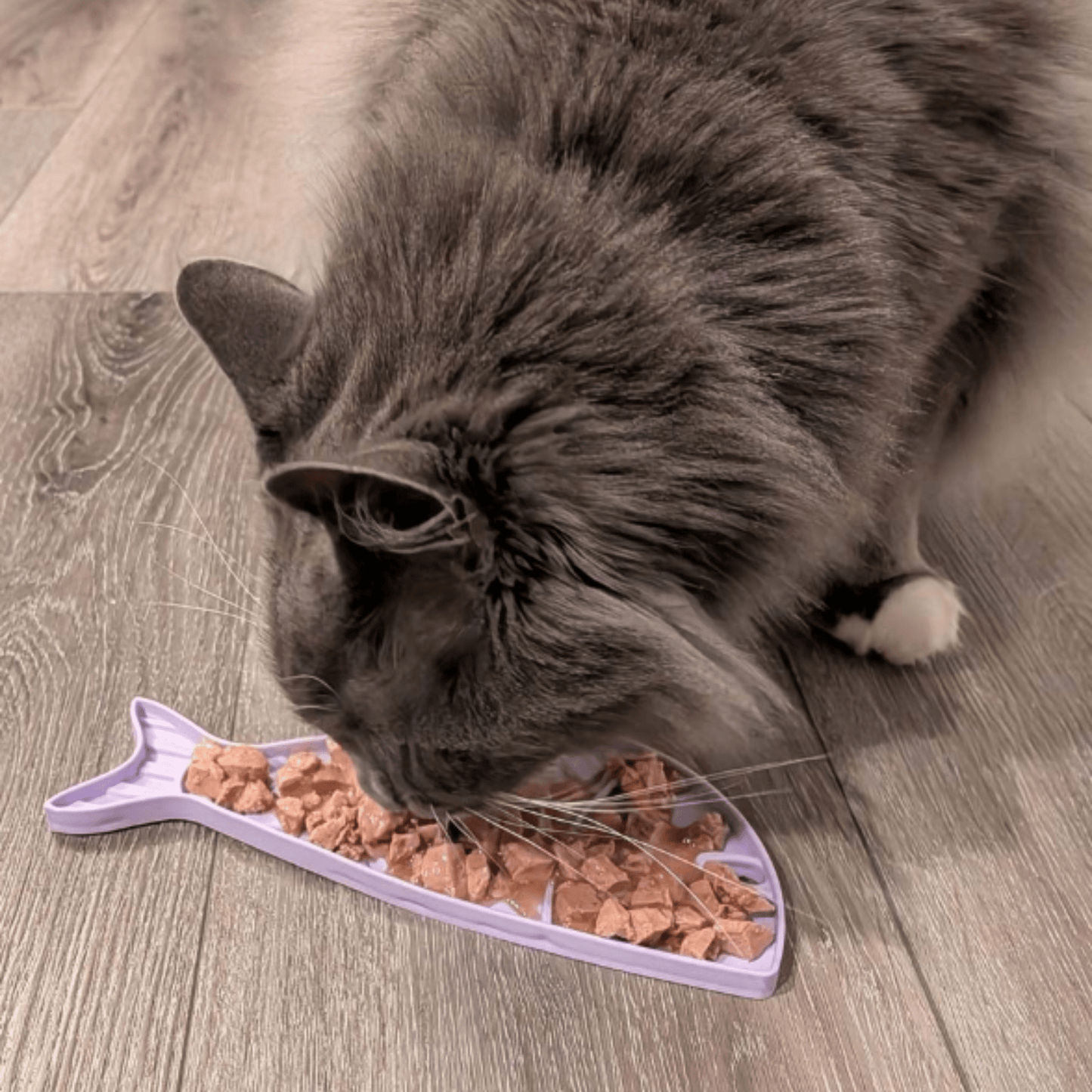 Lick Mats for Cats and Small Dogs